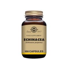 Echinacea Purpurea