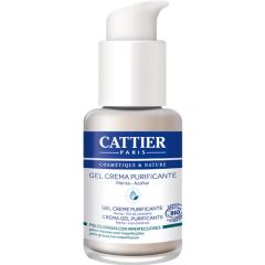 Gel Creme Purificante