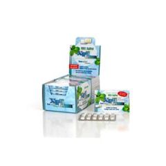 Xyligum Icemint 12 Pastlhas