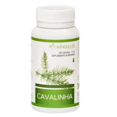 Cavalinha