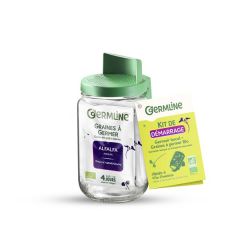 Germinador De Vidro + 2 Saquetas De Sementes Para Germinar