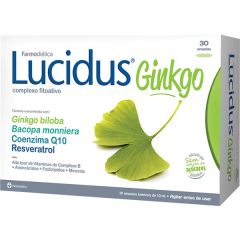 Lucidus Ginkgo