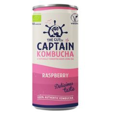 Kombucha Framboesa Bio