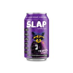 Bebida Gaseificada Tropical Sem Açúcar 330Ml