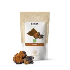 Cogumelo Chaga Em Pó Bio
