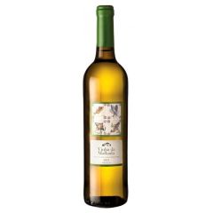 Vinho Branco 2024 Bio